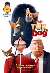 Corgi: Top Dog